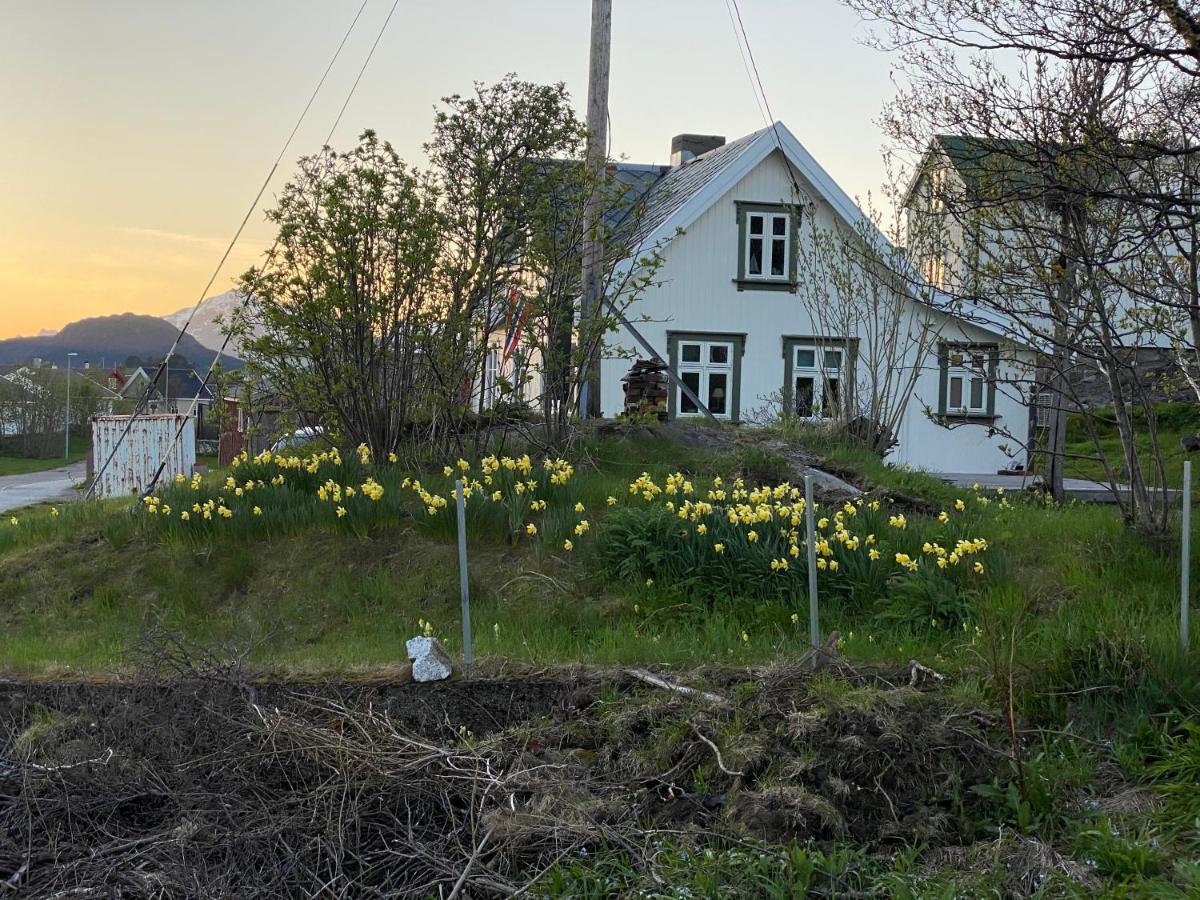 Nordlandshuset "Lottebakken", Ballstad In Lofoten Exterior photo
